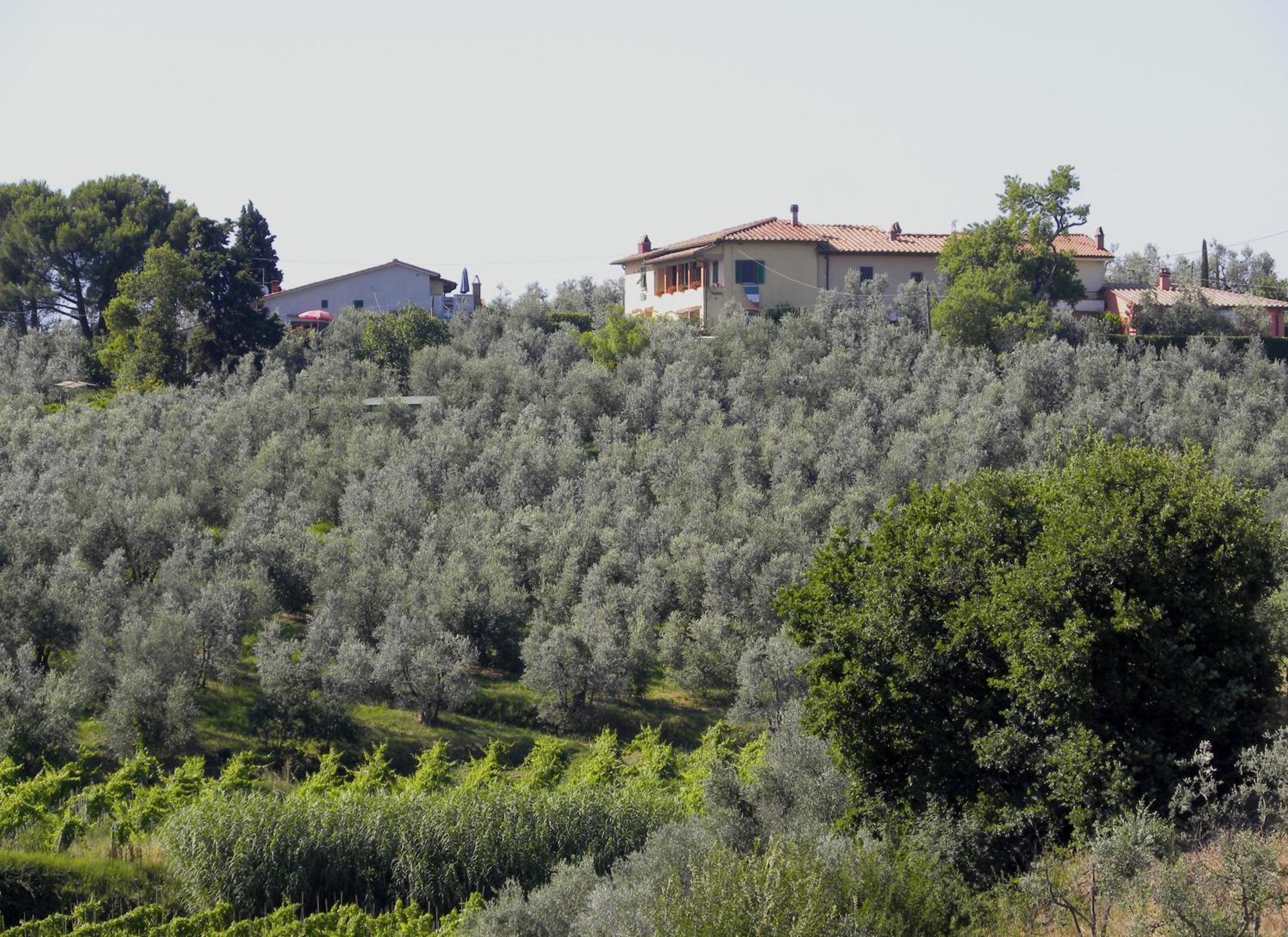 Agriturismo Podere Zollaio Vinci Quarto foto
