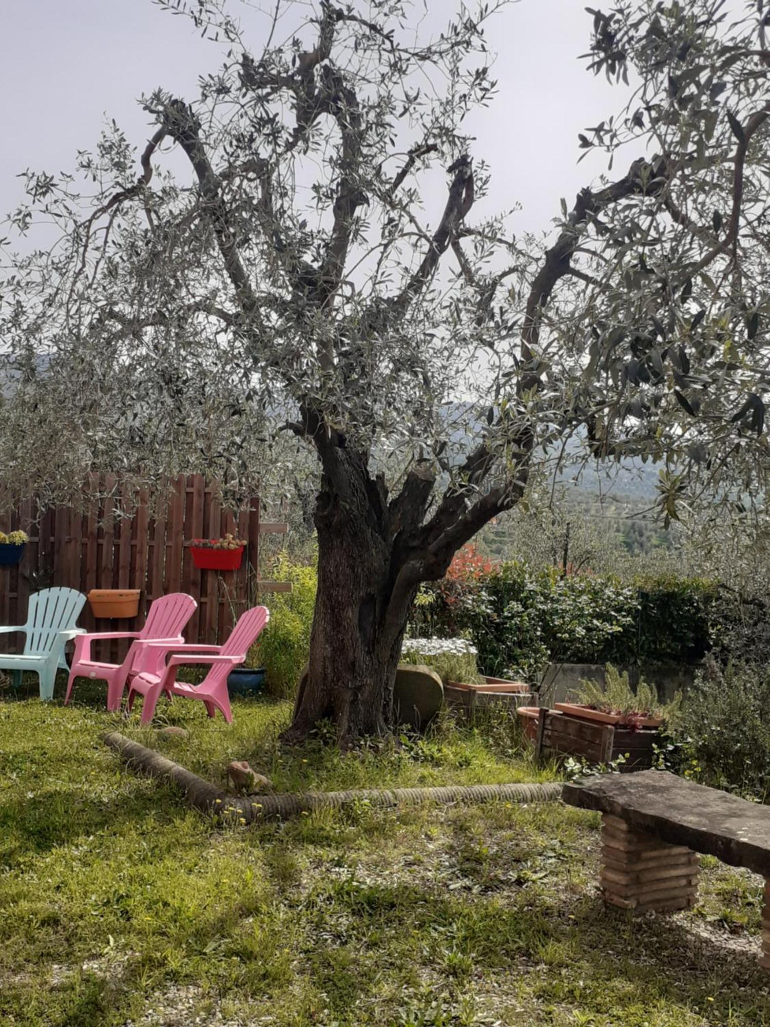 Agriturismo Podere Zollaio Vinci Exterior foto